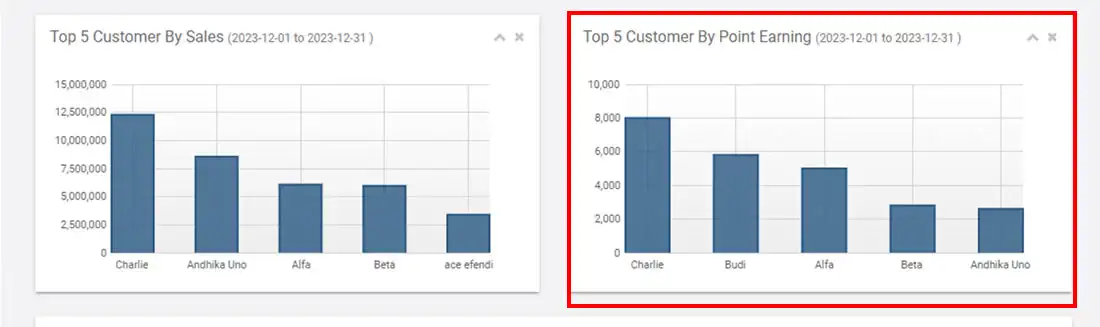 Top 5 Customers by Points Earning provides information about the top 5 customers based on points