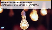 SAP Business One Hana Enterprise Search Customization