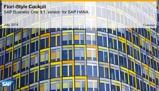SAP Business One Hana Fiori Style Cockpit