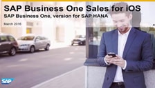 SAP Business One Hana Sales For iOS