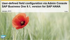 SAP Business One Hana User Defined Field Configuration Via Admin Console