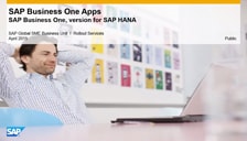 SAP Business One Hana