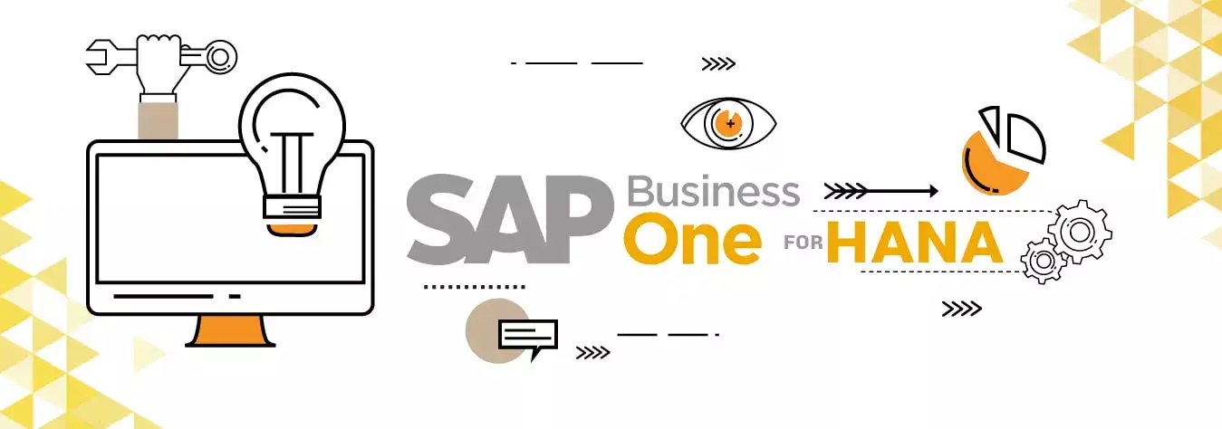 Apa itu SAP Business One Untuk Versi Hana