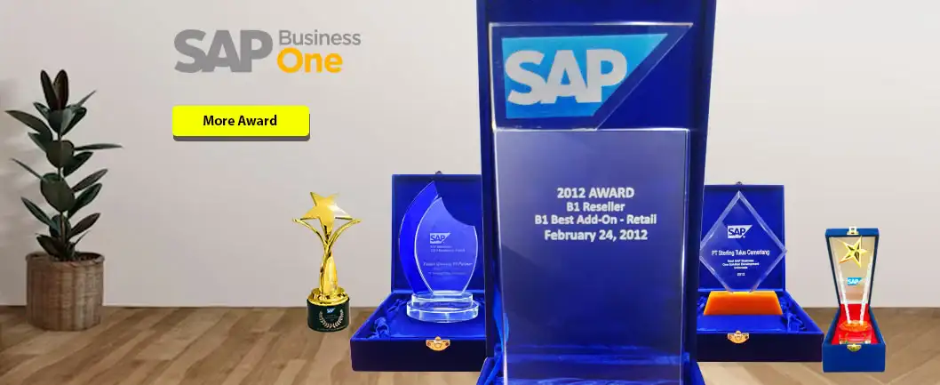 Best add on SAP Business One Retail Award in Indonesia