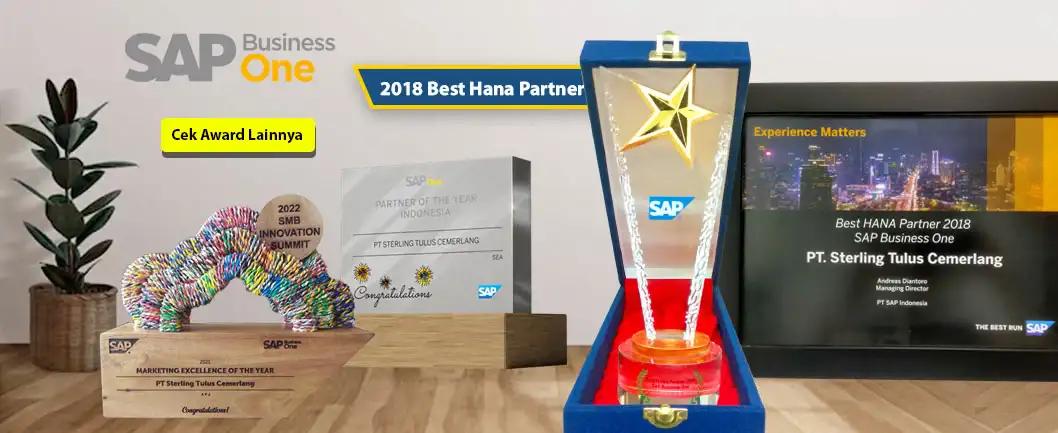 SAP Business One Hana Partner Terbaik