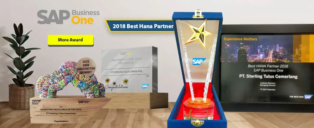 Best SAP Business One Hana Partner