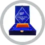 STEM mendapatkan Award Best SAP Partner Pada Tahun 2013