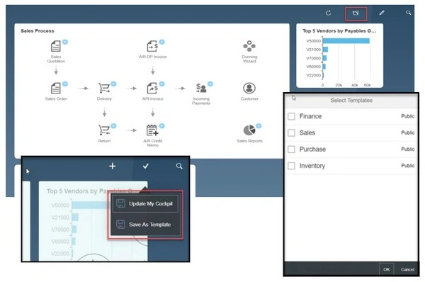 SAP Business One Dashboard Cockpit Templates