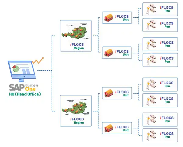 SAP Business One Solution for poultry farm