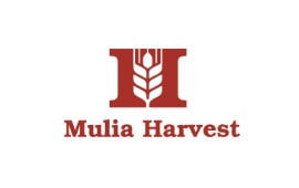 SAP Business One Gold Partner Indonesia Feed Mill & Poultry Client Mulia Harvest Agritech - Sterling Tulus Cemerlang (STEM)