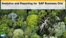 SAP B1 HANA Analytics and Reporting