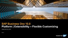 SAP Business One 10 Platform and Extensibility - Flexible Customizing