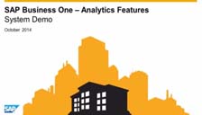 SAP B1 Analytic Features
