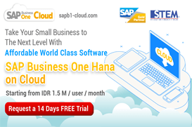SAP Business One Hana on Cloud SAP Business One Hana on Cloud