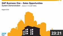 Sales Opportunities - version 9.1 for HANA - System Demonstration