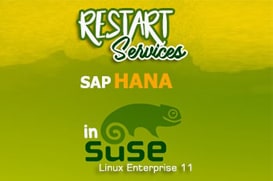 SAP Business One Tips - Restart Services SAP Hana in Suse Linux-enterprise-11