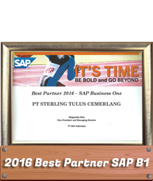 Award STEM SAP Business One Best Partner 2016