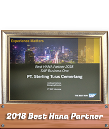 Award STEM SAP Business One Best Hana Partner 2018