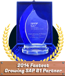 Award Fastest Growing SAP B1 Partner 2014 STEM