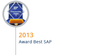 STEM mendapatkan Award Best SAP Partner Pada Tahun 2013