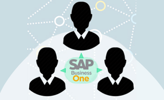 STEM SAP Business One Tips How to See Active User in SAP Business One