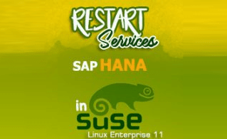 STEM SAP Business One Tips Restart SAP HANA Service in SuSe Linux