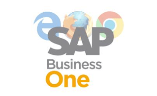 STEM SAP Business One Tips Web Browser Access