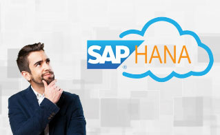What is SAP HANA?